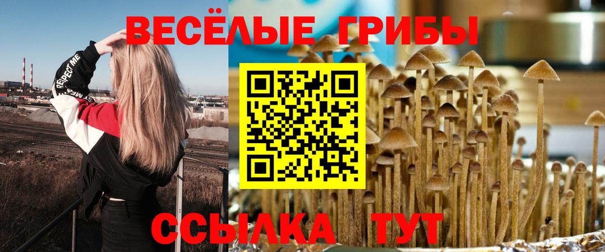 Галлюциногенные грибы MAGIC MUSHROOMS Новокузнецк