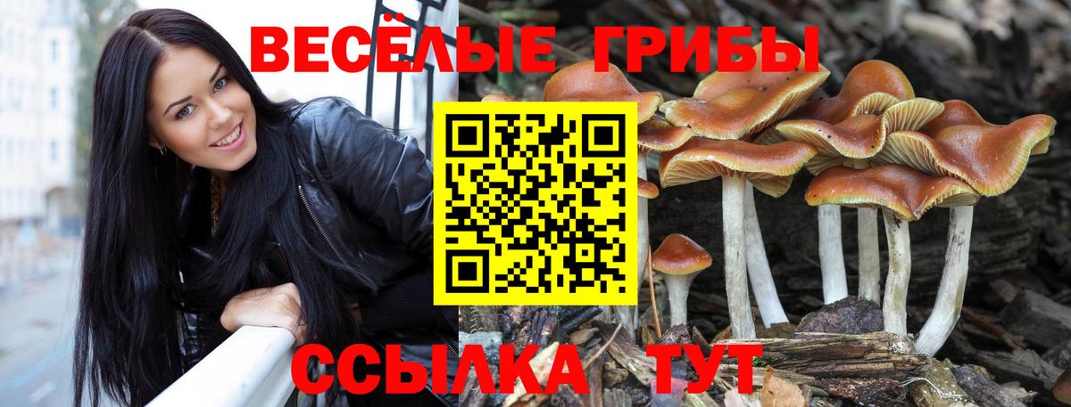 Псилоцибиновые грибы Magic Shrooms  Вход с VPN  Новокузнецк 