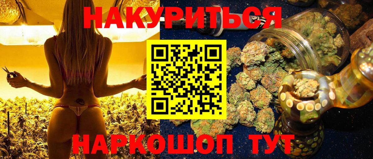 Шишки марихуана семена Новокузнецк